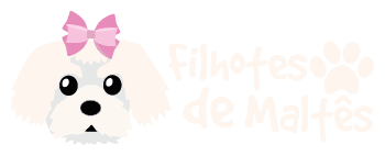 Canil Filhotes de Maltês - Venda de Maltês - SP - Filhotes de Maltês logotipo-aempresa 